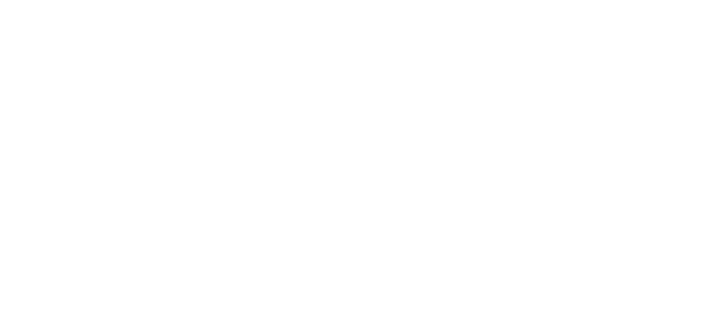 Viva Telecom